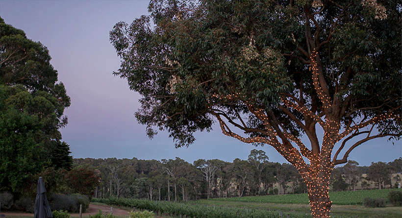 Hay Shed Hill Cellar Door